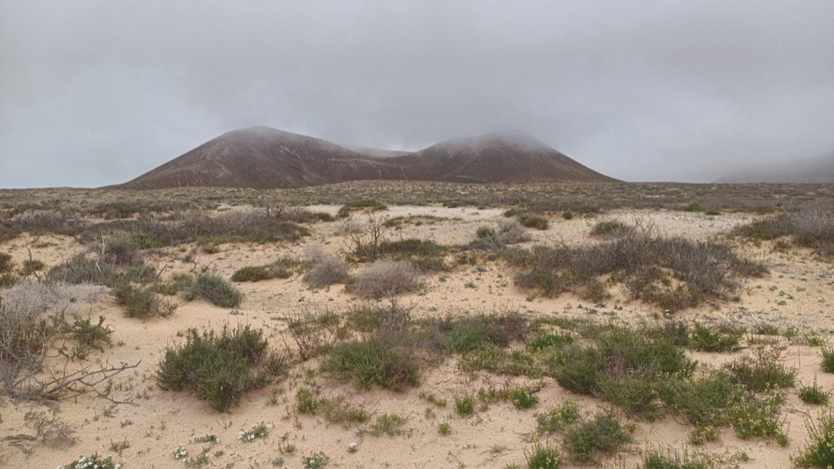 La Montaña del Mojón entre la bruma, vista desde la ruta 2 entre arena y matorral bajo