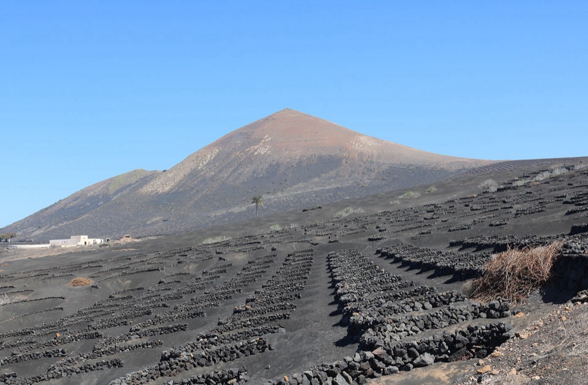 Montaña de Guardilama sobre los viñedos en hoyos de La Geria