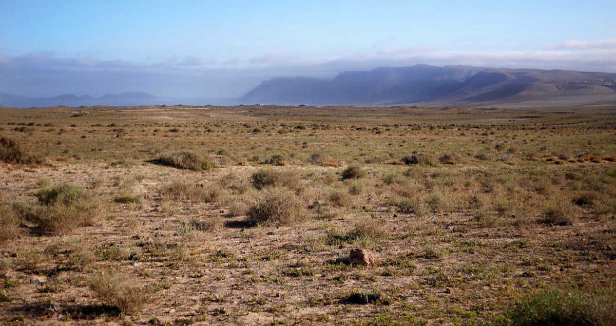 La llanura de El Jable, con el macizo de Famara al fondo