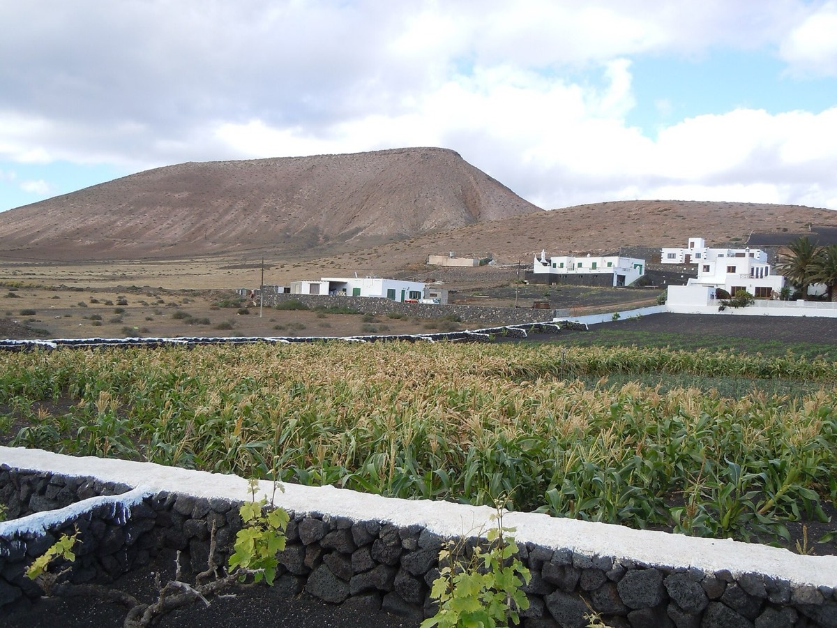 Campos y Caldera Riscada vistos desde Las Casitas de Femés