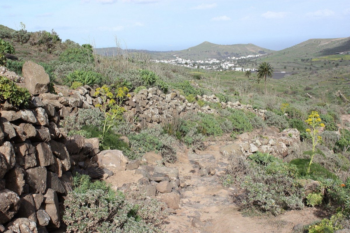 Sendero entre muros de piedra en el valle de Malpaso, con Haría al fondo