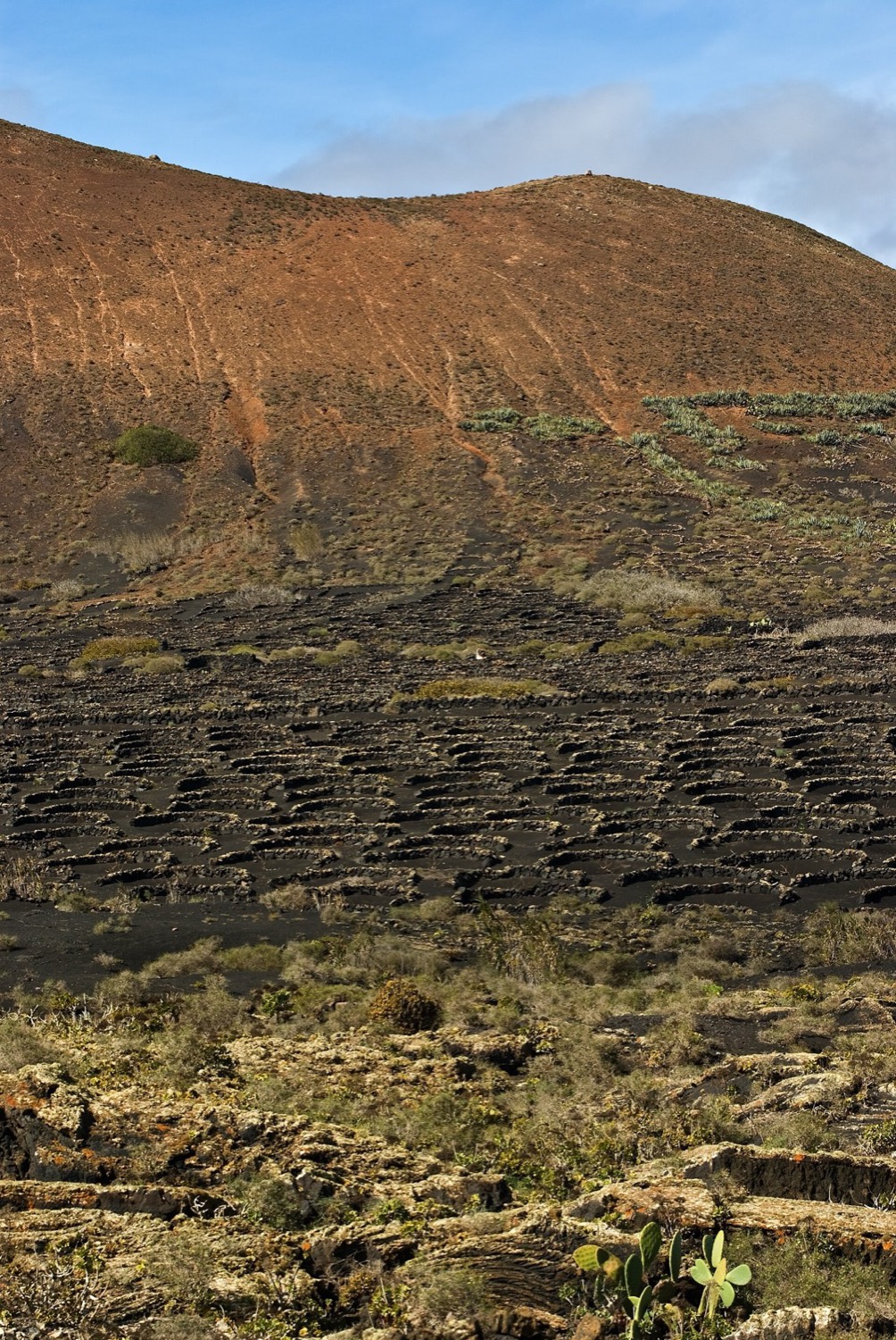 Viñedo de La Geria: hoyos y muros de piedra seca sobre el picón negro, al pie de una montaña rojiza.